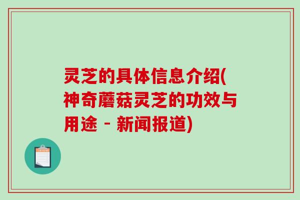灵芝的具体信息介绍(神奇蘑菇灵芝的功效与用途 - 新闻报道) 灵芝的具体信息介绍(神奇蘑菇灵芝的功效与用途 - 新闻报道)