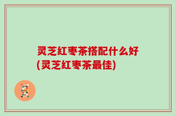 灵芝红枣茶搭配什么好(灵芝红枣茶最佳)
