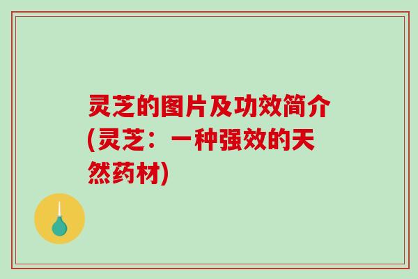 灵芝的图片及功效简介(灵芝:一种强效的天然药材) 灵芝的图片及功效简介(灵芝:一种强效的天然药材)