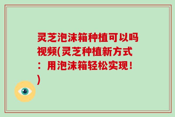 灵芝泡沫箱种植可以吗视频(灵芝种植新方式:用泡沫箱轻松实现!) 灵芝泡沫箱种植可以吗视频(灵芝种植新方式:用泡沫箱轻松实现!)