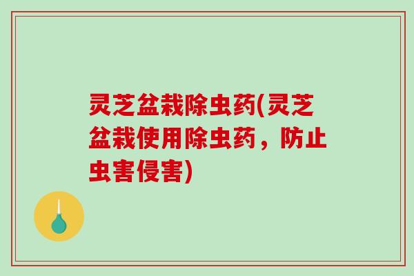 灵芝盆栽除虫药(灵芝盆栽使用除虫药，防止虫害侵害)