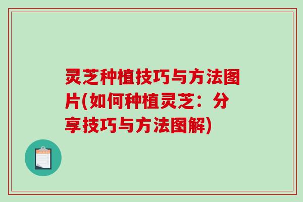 灵芝种植技巧与方法图片(如何种植灵芝：分享技巧与方法图解)