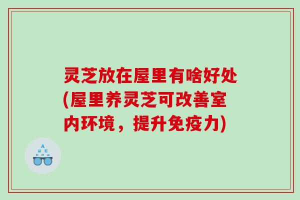 灵芝放在屋里有啥好处(屋里养灵芝可改善室内环境,提升免疫力) 灵芝放在屋里有啥好处(屋里养灵芝可改善室内环境,提升免疫力)