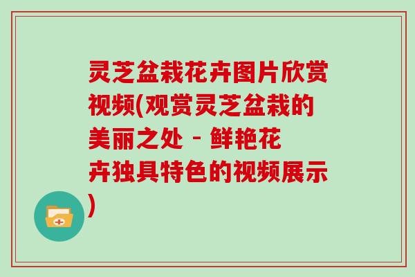 灵芝盆栽花卉图片欣赏视频(观赏灵芝盆栽的美丽之处 - 鲜艳花卉独具特色的视频展示)