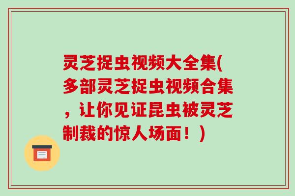 灵芝捉虫视频大全集(多部灵芝捉虫视频合集，让你见证昆虫被灵芝制裁的惊人场面！)