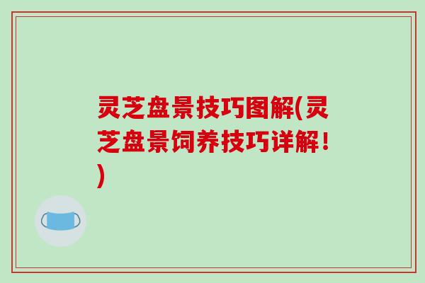 灵芝盘景技巧图解(灵芝盘景饲养技巧详解！)