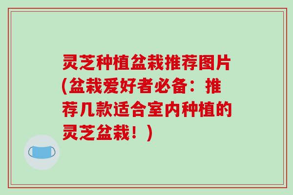 灵芝种植盆栽推荐图片(盆栽爱好者必备：推荐几款适合室内种植的灵芝盆栽！)