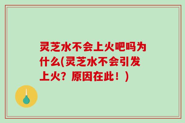 灵芝水不会上火吧吗为什么(灵芝水不会引发上火？原因在此！)
