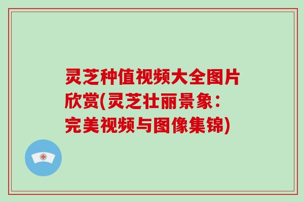 灵芝种值视频大全图片欣赏(灵芝壮丽景象：完美视频与图像集锦)