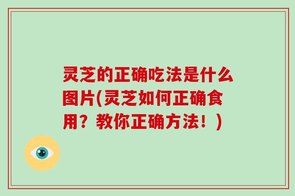 灵芝的正确吃法是什么图片(灵芝如何正确食用?教你正确方法!) 灵芝的正确吃法是什么图片(灵芝如何正确食用?教你正确方法!)