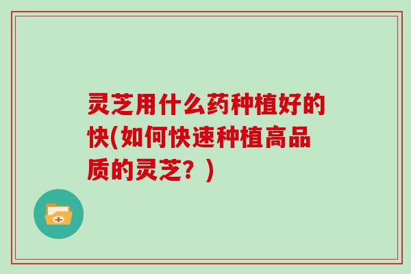 灵芝用什么药种植好的快(如何快速种植高品质的灵芝？)