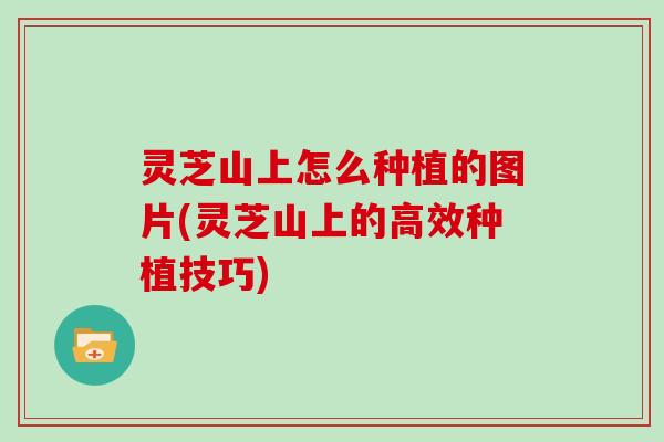 灵芝山上怎么种植的图片(灵芝山上的高效种植技巧) 灵芝山上怎么种植的图片(灵芝山上的高效种植技巧)