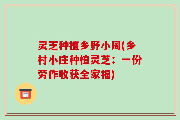 灵芝种植乡野小周(乡村小庄种植灵芝：一份劳作收获全家福)