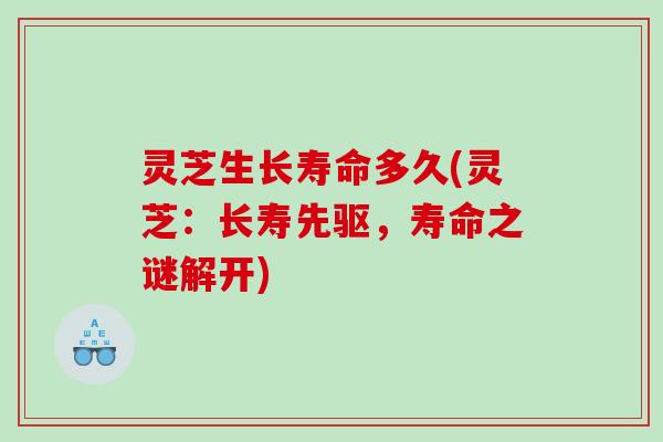 灵芝生长寿命多久(灵芝：长寿先驱，寿命之谜解开)