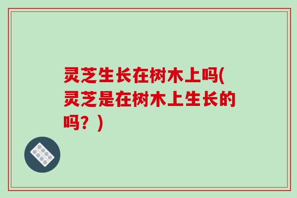 灵芝生长在树木上吗(灵芝是在树木上生长的吗?) 灵芝生长在树木上吗(灵芝是在树木上生长的吗?)