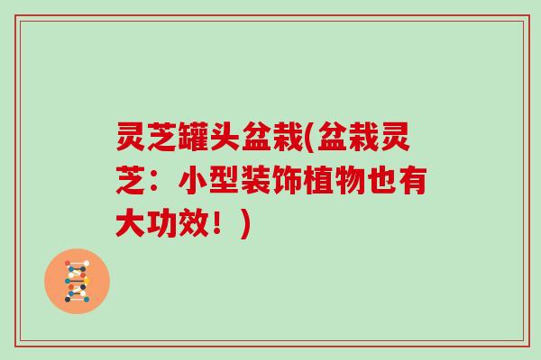灵芝罐头盆栽(盆栽灵芝:小型装饰植物也有大功效!) 灵芝罐头盆栽(盆栽灵芝:小型装饰植物也有大功效!)