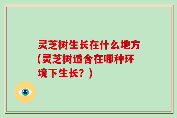 灵芝树生长在什么地方(灵芝树适合在哪种环境下生长?) 灵芝树生长在什么地方(灵芝树适合在哪种环境下生长?)