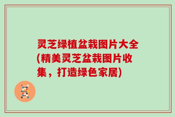灵芝绿植盆栽图片大全(精美灵芝盆栽图片收集,打造绿色家居) 灵芝绿植盆栽图片大全(精美灵芝盆栽图片收集,打造绿色家居)
