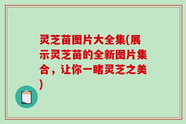 灵芝苗图片大全集(展示灵芝苗的全新图片集合，让你一睹灵芝之美)