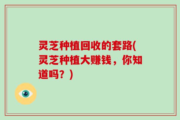 灵芝种植回收的套路(灵芝种植大赚钱，你知道吗？)
