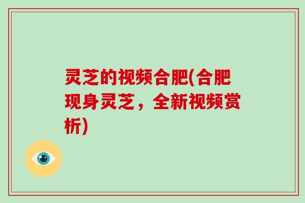 灵芝的视频合肥(合肥现身灵芝，全新视频赏析)
