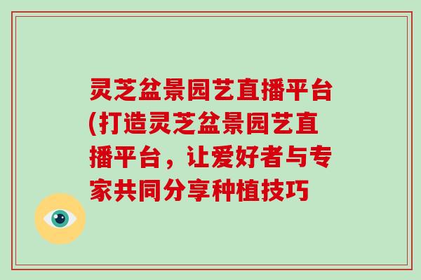 灵芝盆景园艺直播平台(打造灵芝盆景园艺直播平台，让爱好者与专家共同分享种植技巧