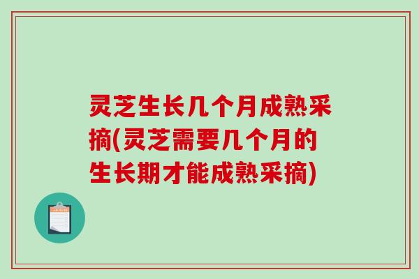 灵芝生长几个月成熟采摘(灵芝需要几个月的生长期才能成熟采摘)