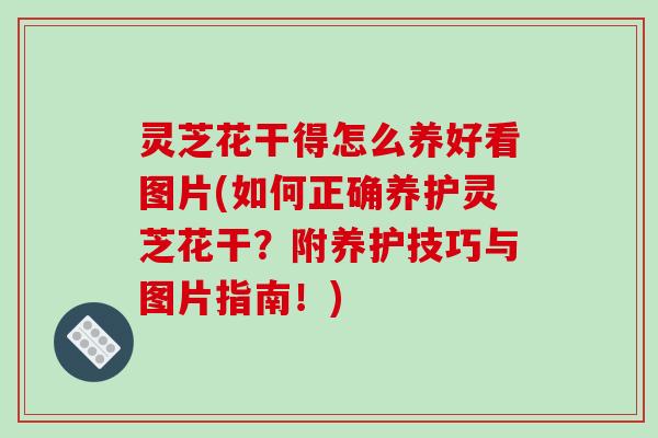 灵芝花干得怎么养好看图片(如何正确养护灵芝花干？附养护技巧与图片指南！)