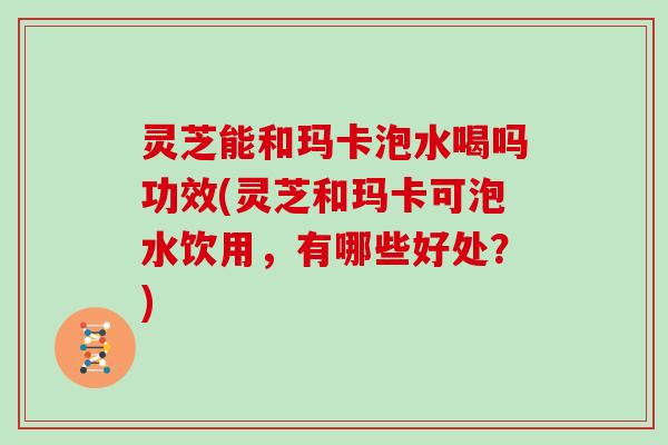 灵芝能和玛卡泡水喝吗功效(灵芝和玛卡可泡水饮用，有哪些好处？)