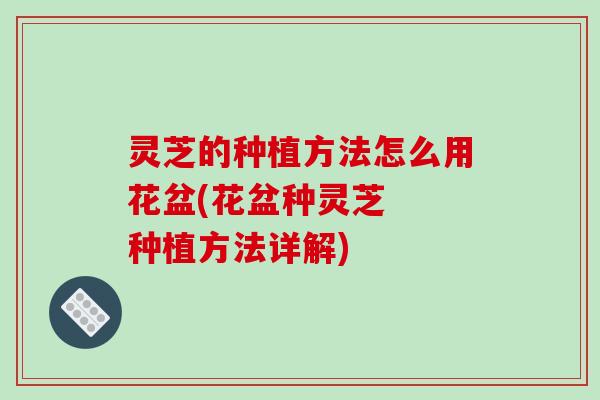 灵芝的种植方法怎么用花盆(花盆种灵芝 种植方法详解) 灵芝的种植方法怎么用花盆(花盆种灵芝 种植方法详解)