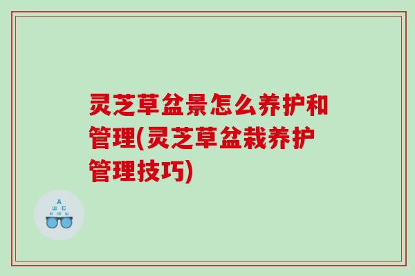 灵芝草盆景怎么养护和管理(灵芝草盆栽养护管理技巧)