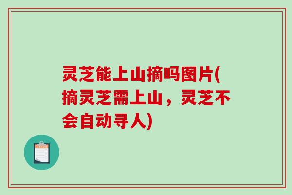 灵芝能上山摘吗图片(摘灵芝需上山,灵芝不会自动寻人) 灵芝能上山摘吗图片(摘灵芝需上山,灵芝不会自动寻人)
