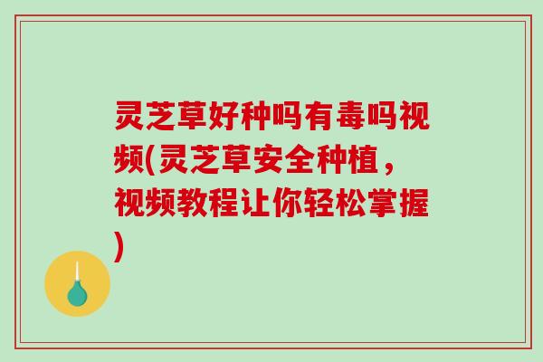 灵芝草好种吗有毒吗视频(灵芝草安全种植，视频教程让你轻松掌握)