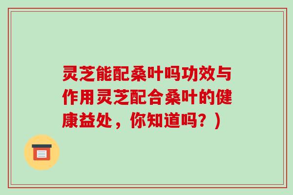 灵芝能配桑叶吗功效与作用灵芝配合桑叶的健康益处,你知道吗?) 灵芝能配桑叶吗功效与作用灵芝配合桑叶的健康益处,你知道吗?)