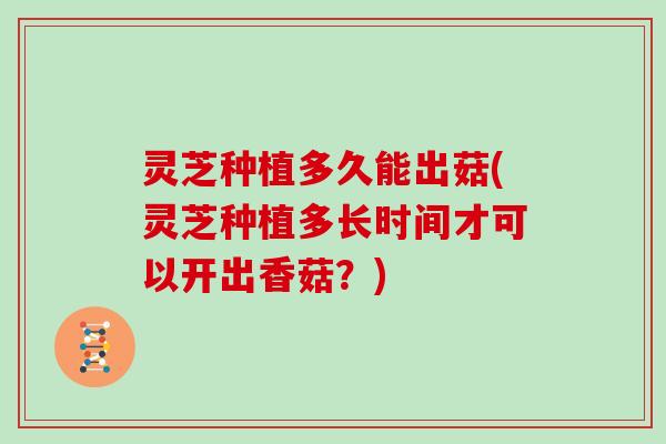 灵芝种植多久能出菇(灵芝种植多长时间才可以开出香菇？)