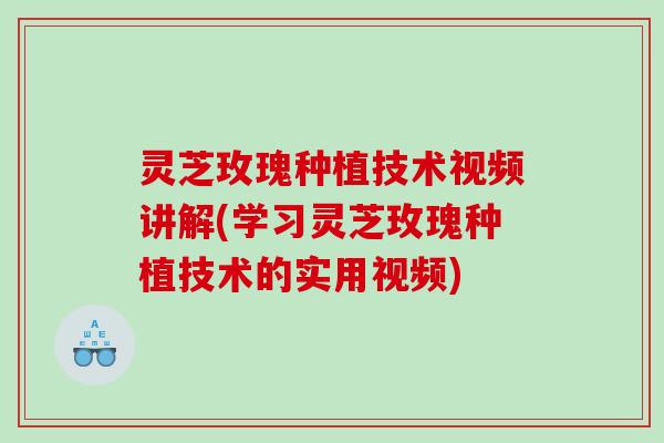 灵芝玫瑰种植技术视频讲解(学习灵芝玫瑰种植技术的实用视频)