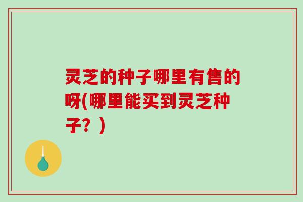 灵芝的种子哪里有售的呀(哪里能买到灵芝种子?) 灵芝的种子哪里有售的呀(哪里能买到灵芝种子?)