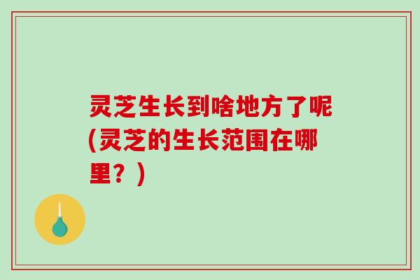 灵芝生长到啥地方了呢(灵芝的生长范围在哪里？)