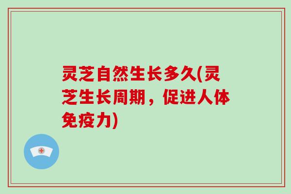 灵芝自然生长多久(灵芝生长周期,促进人体免疫力) 灵芝自然生长多久(灵芝生长周期,促进人体免疫力)