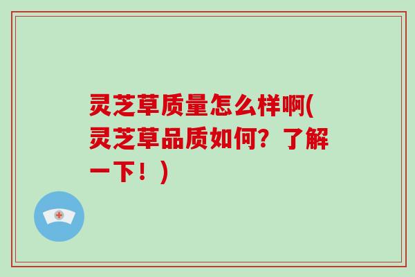 灵芝草质量怎么样啊(灵芝草品质如何？了解一下！)