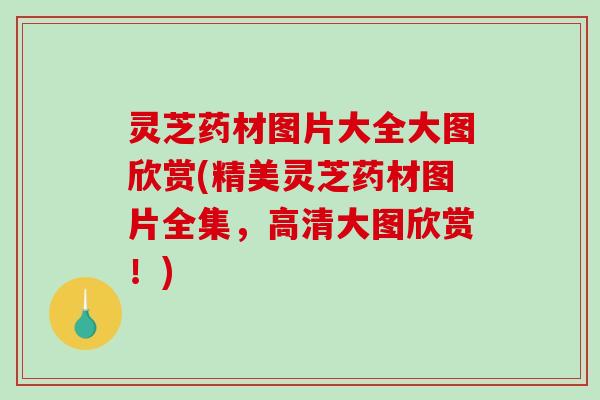 灵芝药材图片大全大图欣赏(精美灵芝药材图片全集,高清大图欣赏!) 灵芝药材图片大全大图欣赏(精美灵芝药材图片全集,高清大图欣赏!)