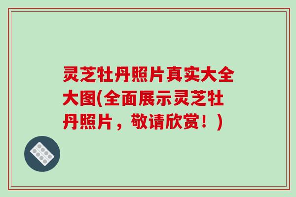灵芝牡丹照片真实大全大图(全面展示灵芝牡丹照片，敬请欣赏！)