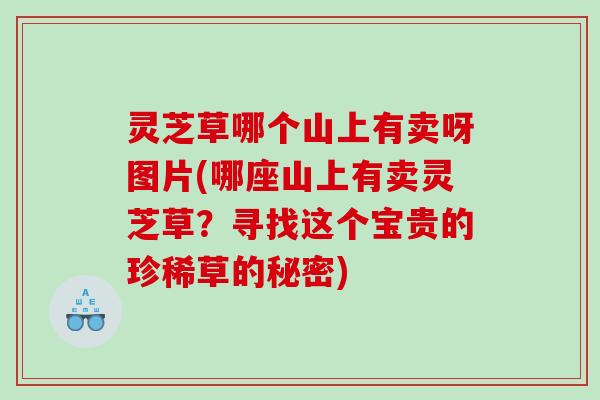 灵芝草哪个山上有卖呀图片(哪座山上有卖灵芝草?寻找这个宝贵的珍稀草的秘密) 灵芝草哪个山上有卖呀图片(哪座山上有卖灵芝草?寻找这个宝贵的珍稀草的秘密)