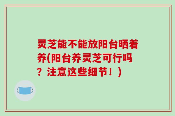 灵芝能不能放阳台晒着养(阳台养灵芝可行吗？注意这些细节！)