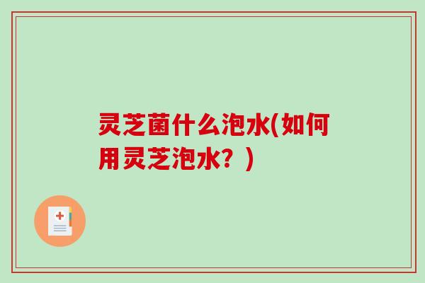 灵芝菌什么泡水(如何用灵芝泡水?) 灵芝菌什么泡水(如何用灵芝泡水?)