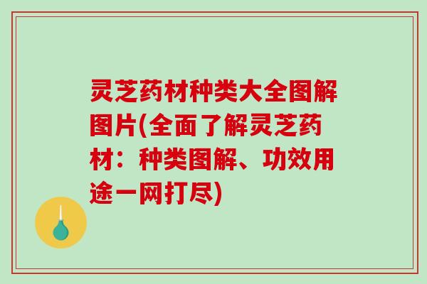 灵芝药材种类大全图解图片(全面了解灵芝药材:种类图解、功效用途一网打尽) 灵芝药材种类大全图解图片(全面了解灵芝药材:种类图解、功效用途一网打尽)