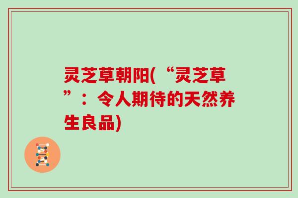 灵芝草朝阳(“灵芝草”：令人期待的天然养生良品)