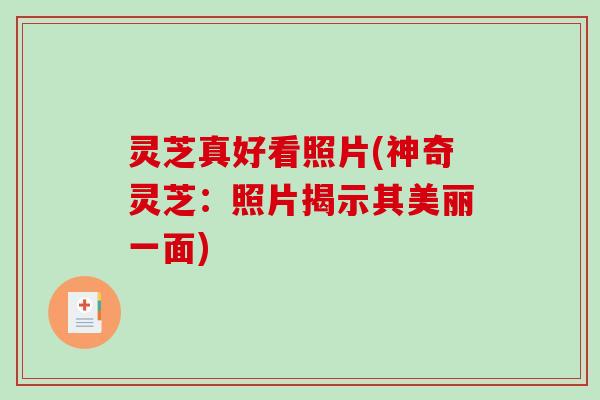 灵芝真好看照片(神奇灵芝：照片揭示其美丽一面)