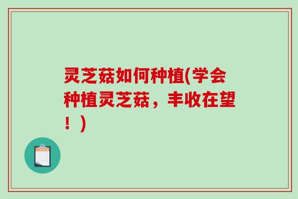 灵芝菇如何种植(学会种植灵芝菇,丰收在望!) 灵芝菇如何种植(学会种植灵芝菇,丰收在望!)