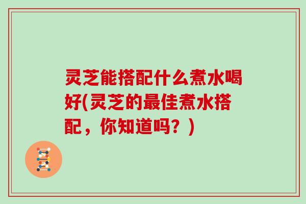 灵芝能搭配什么煮水喝好(灵芝的最佳煮水搭配，你知道吗？)